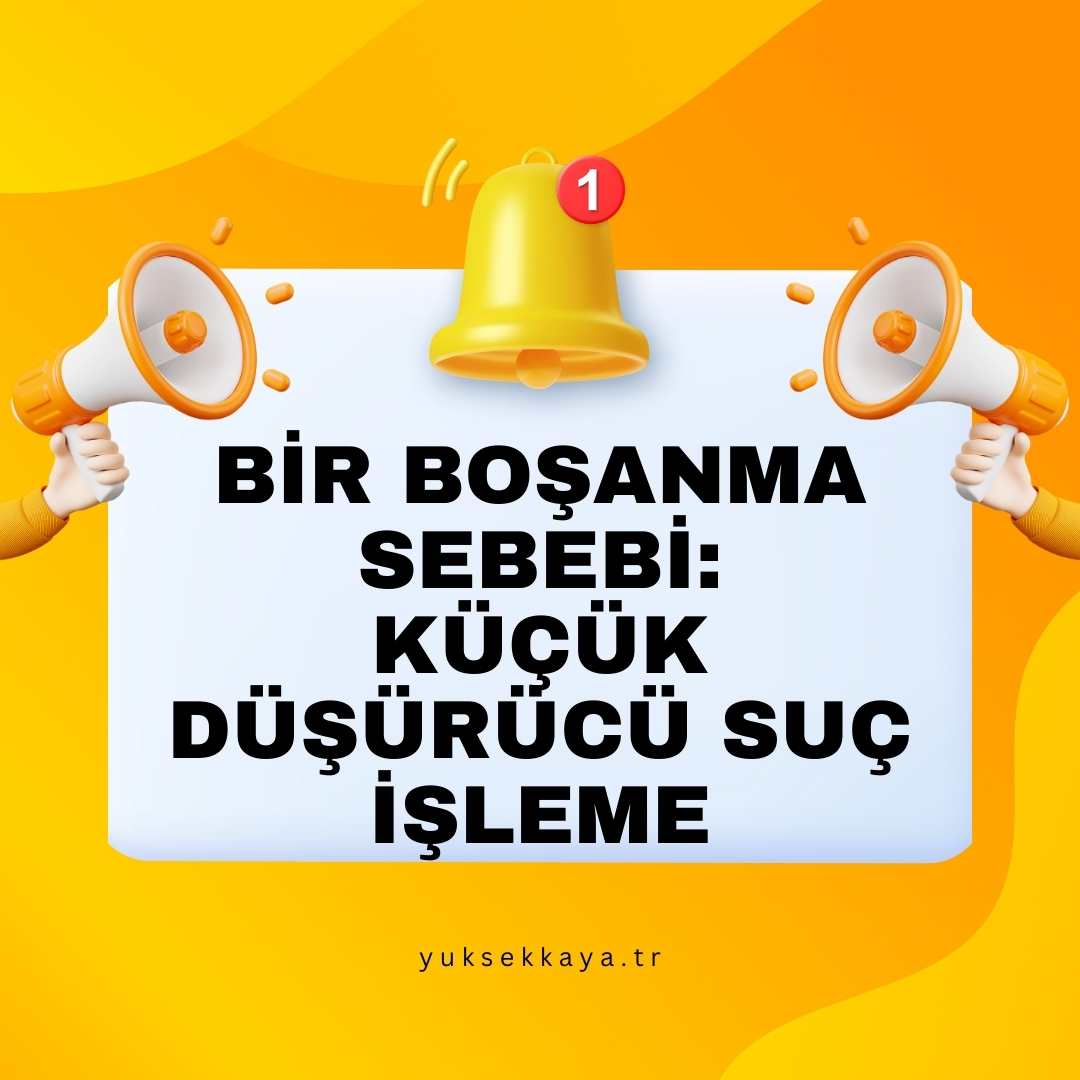 BİR BOŞANMA SEBEBİ: KÜÇÜK DÜŞÜRÜCÜ SUÇ İŞLEME