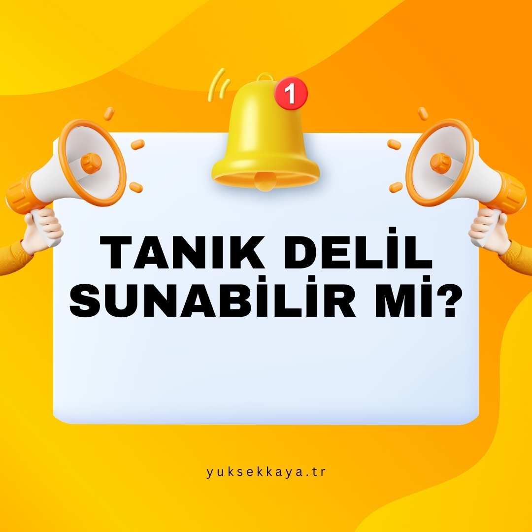 TANIK DELİL SUNABİLİR Mİ?